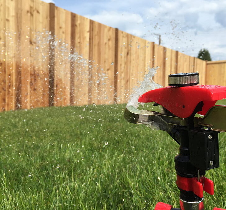 Watering Tips